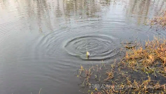 冬季野钓如何选好钓位？   