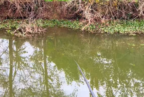 野钓是钓近好还是钓远好？  n