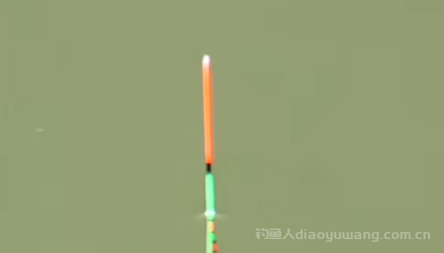 野钓挂红虫蚯蚓,最实用的调漂方法分享! n 野钓挂红虫蚯蚓,最实用的调漂方法分享! n