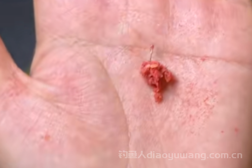 饵料如何开饵它的状态才好呢？n