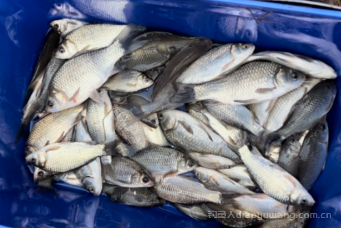 钓具购买应避开的3个误差   n