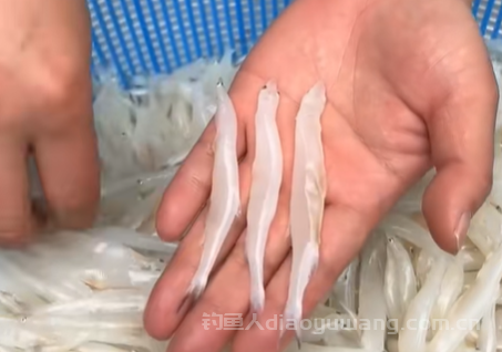 中国有哪些好吃的无刺鱼? n 中国有哪些好吃的无刺鱼? n