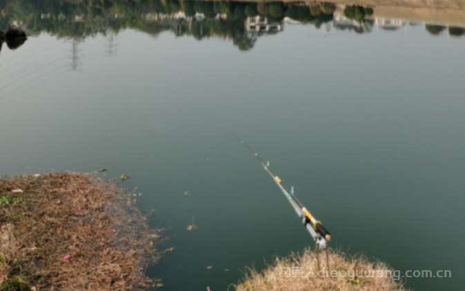 冬季钓鲫鱼五个位置不要下杆 n 冬季钓鲫鱼五个位置不要下杆 n