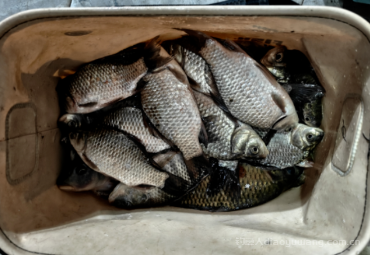 冬季气温低鱼口轻怎么办? 3 招轻松解决 n 冬季气温低鱼口轻怎么办? 3 招轻松解决 n