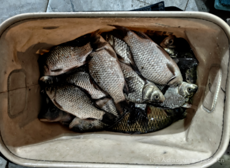 冬末季节的早上钓鱼是钓深还是钓浅?n 冬末季节的早上钓鱼是钓深还是钓浅?n