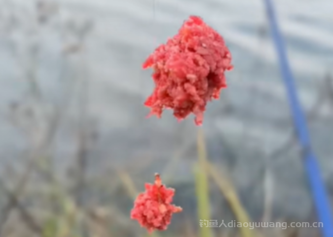 钓鱼别封竿，告诉你一种基本上天天有口的饵料  