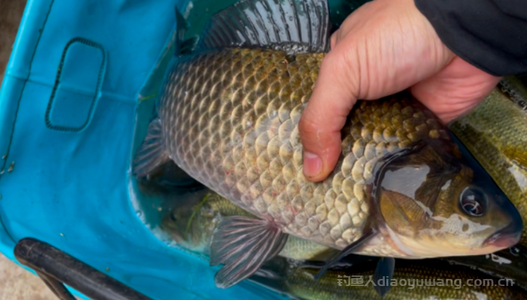 初春钓鱼不能错过的两个黄金时间段 n 初春钓鱼不能错过的两个黄金时间段 n