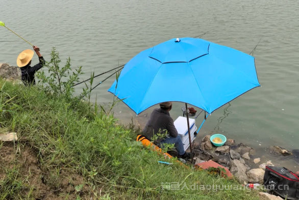 钓鱼是修身养性吗？纯粹就是胡扯！   