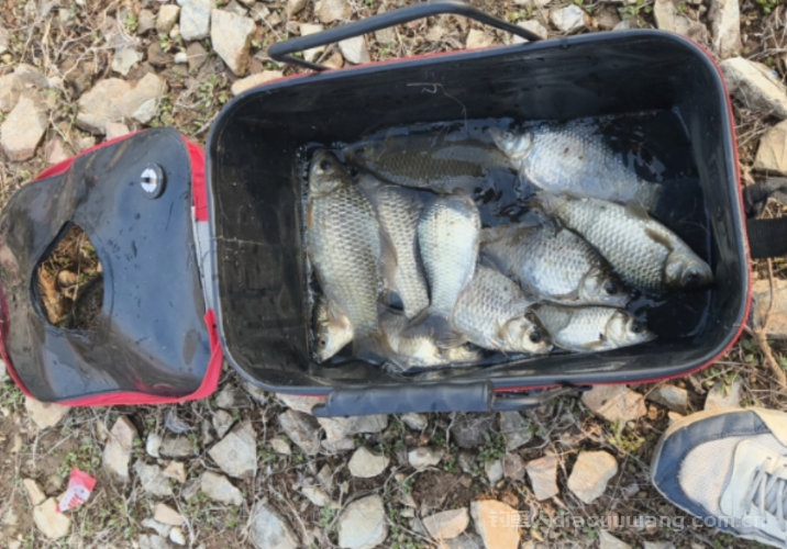 春季夜钓爆护全攻略！简单靠谱的4个技巧，新手也能连竿   