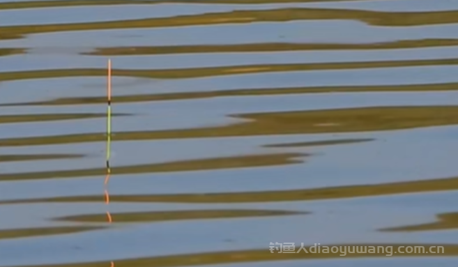 春季钓鲫鱼最简单有效的调漂办法  