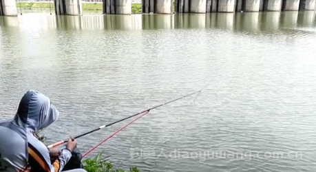 钓鱼人长期停止钓鱼有什么坏处?n 钓鱼人长期停止钓鱼有什么坏处?n