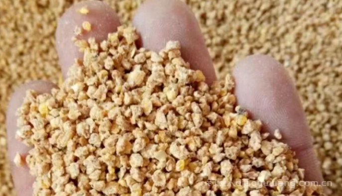 小鸡饲料钓鱼的3种经典配方 小鸡饲料钓鱼的3种经典配方