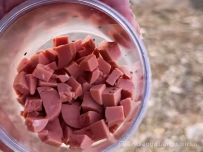 火腿肠加味精做鱼饵，鲫鱼鲤鱼钓不停  n