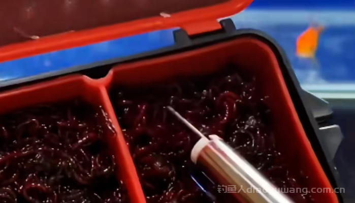 盘点5种“画蛇添足”的渔具,入手需谨慎,不要再浪费钱了 盘点5种“画蛇添足”的渔具,入手需谨慎,不要再浪费钱了